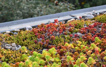 the cost of Upper Chicksgrove green roof installation