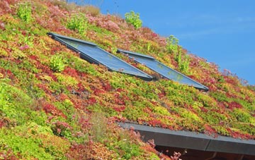 Upper Chicksgrove living roof systems