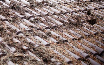 Upper Chicksgrove roof cleaning companies